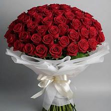 Букет 101 Красная роза Блэк Мэджик в Нахабино