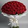 Букет 101 Красная роза Блэк Мэджик в Нахабино