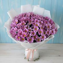 Букет цветов из:  Хризантемы в Нахабино