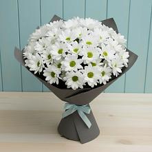 Букет цветов из:  Хризантемы #REPLACE_PRED# Нахабино