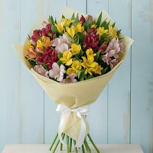 Букет цветов из:  Альстромерии в Нахабино