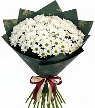 Букет цветов из:  Хризантемы #REPLACE_PRED# Нахабино