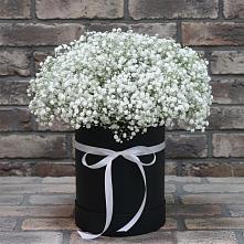 Цветочная композиция из Гипсофила в шляпной коробке #REPLACE_PRED# Нахабино
