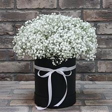 Цветочная композиция из Гипсофила в шляпной коробке в Нахабино